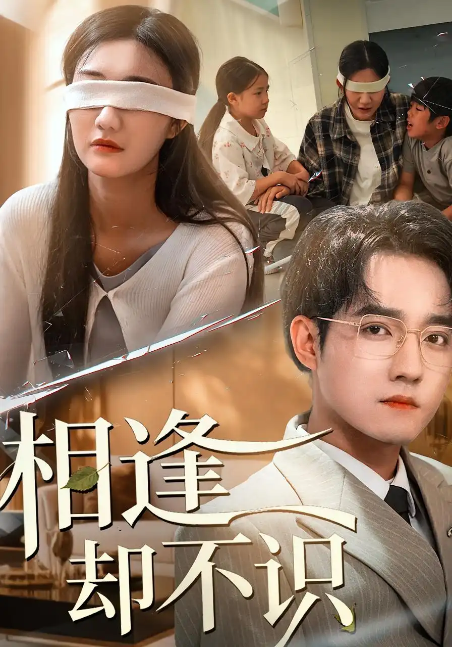 《相逢却不识(77集)刘静阳/程汁》短剧全集免费在线看