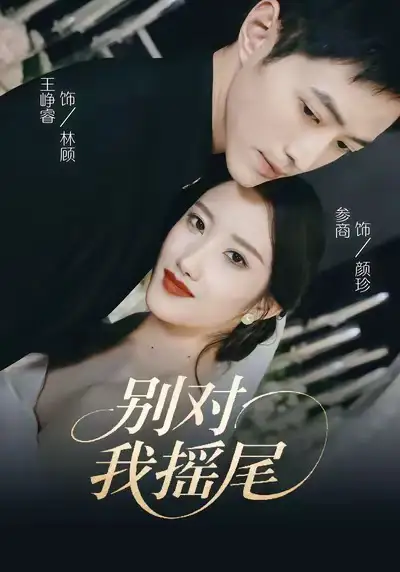 《别对我摇尾（59集）王峥睿＆参商》短剧全集免费在线看