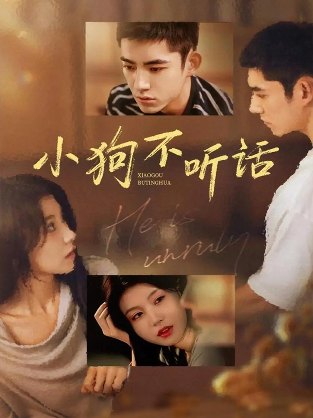 《小狗不听话（70集）马浩东＆何田田》短剧全集免费在线看