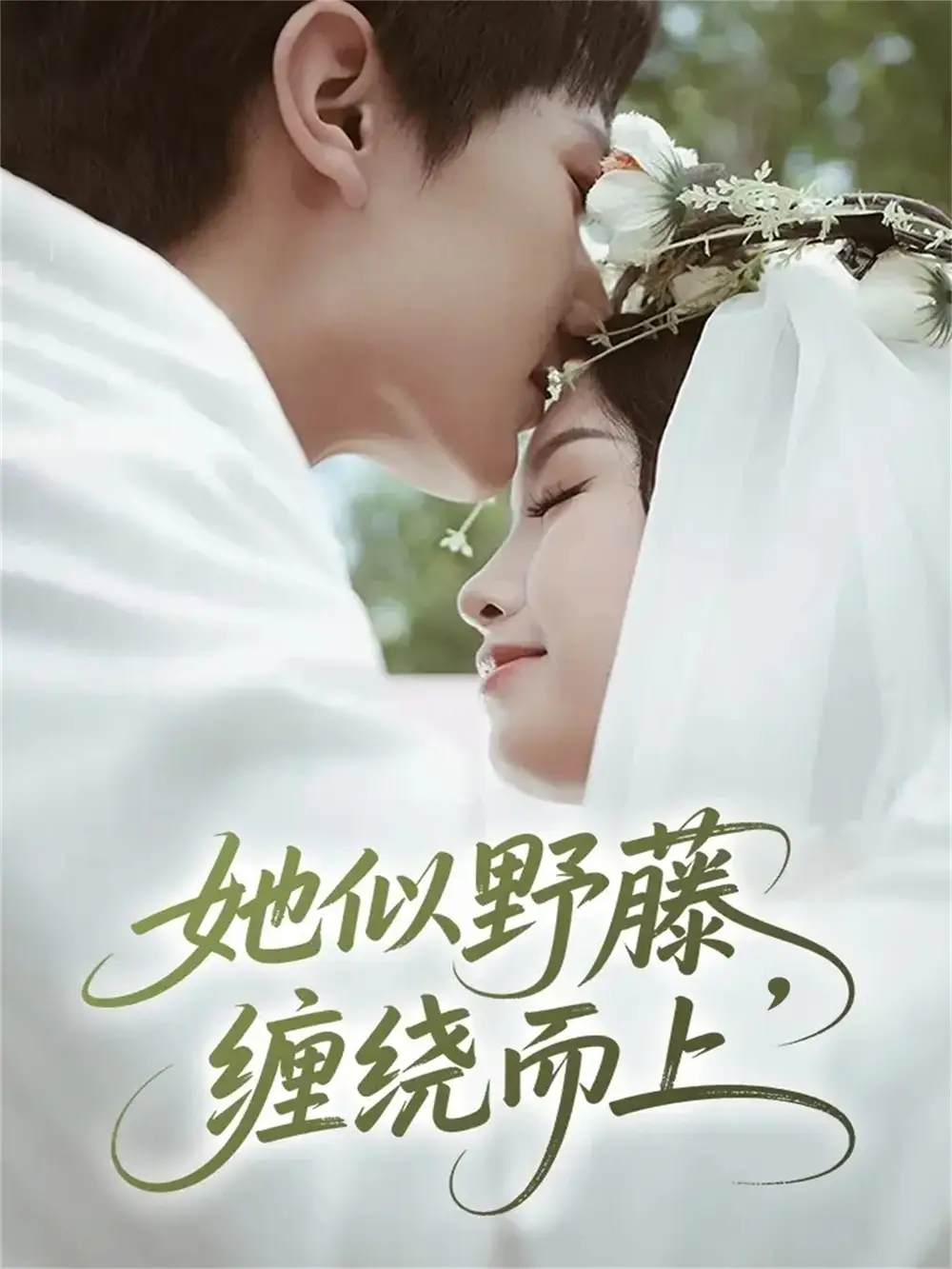 《她似野藤,缠绕而上(51集)万烽&李文茹》短剧全集免费在线看