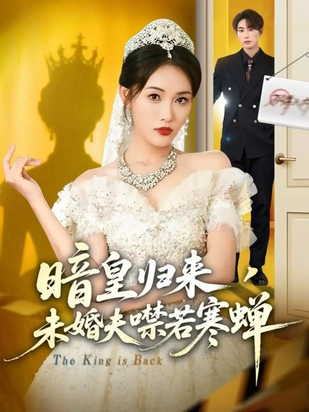 《暗皇归来,未婚夫噤若寒蝉(65集)刘星辰&王浩》短剧全集免费在线看