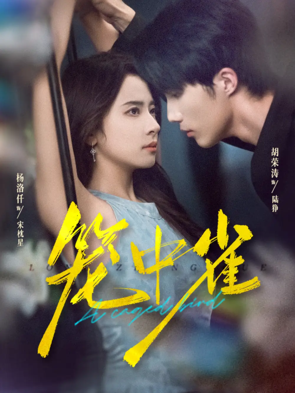 《笼中雀(65集)胡荣涛&杨洛仟》短剧全集免费在线看