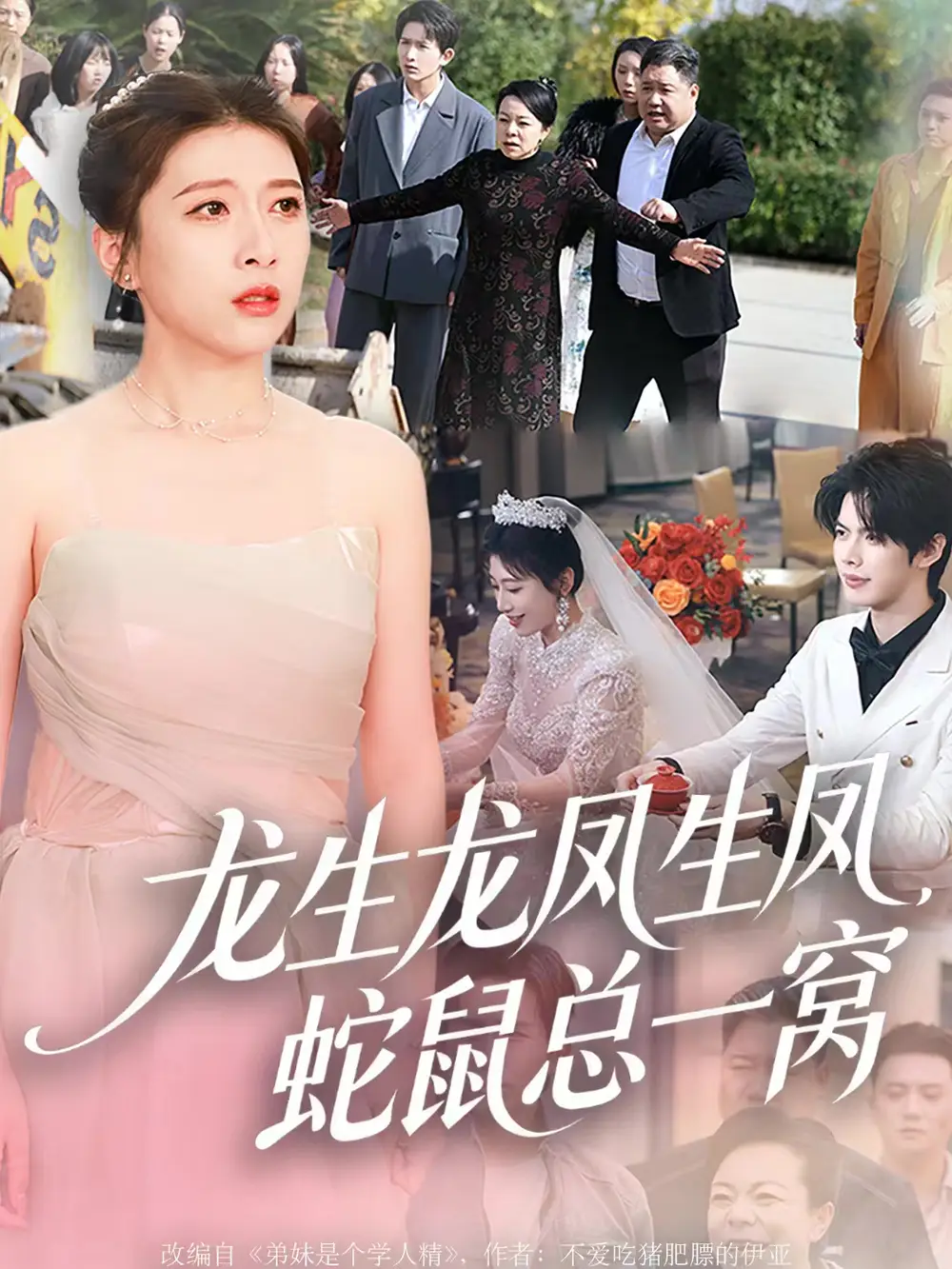 《龙生龙凤生凤，蛇鼠总一窝（60集）曹淼＆牛韵暄》短剧全集免费在线看