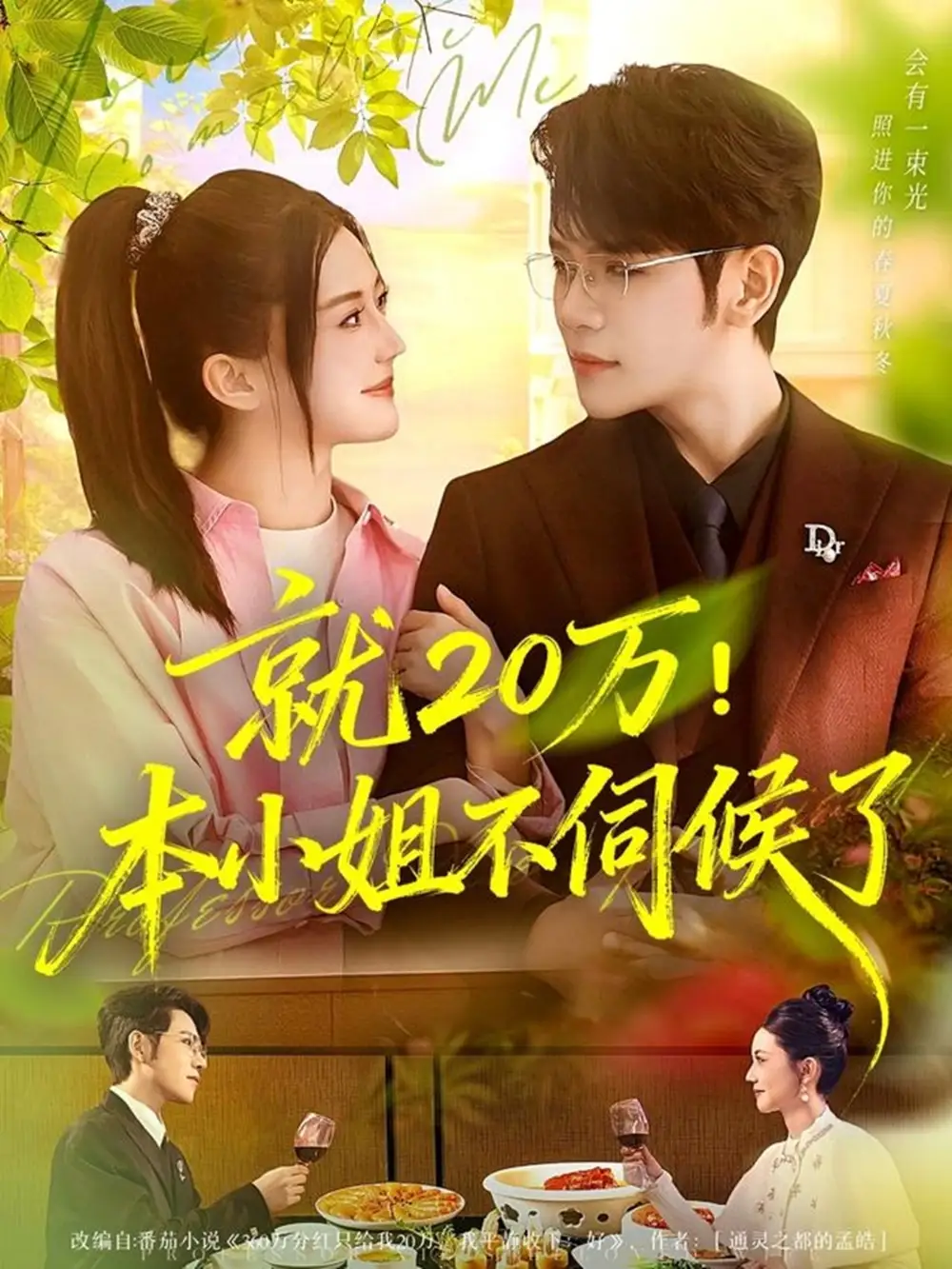 《就20万！本小姐不伺候了（60集）杨彦光＆李家圆子》短剧全集免费在线看