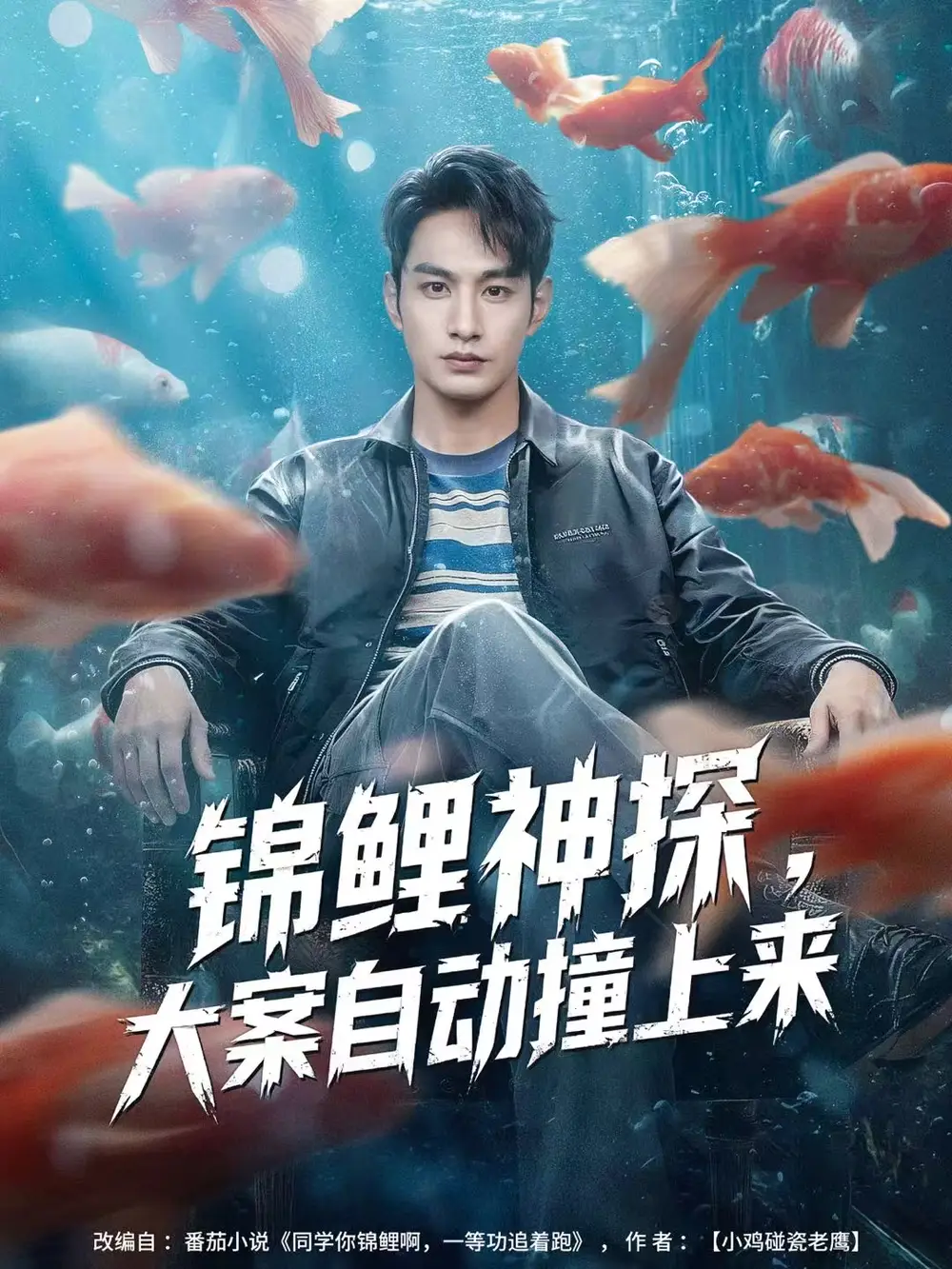 《锦鲤神探，大案自动撞上来（80集）张玉忱＆逯可儿》短剧全集免费在线看