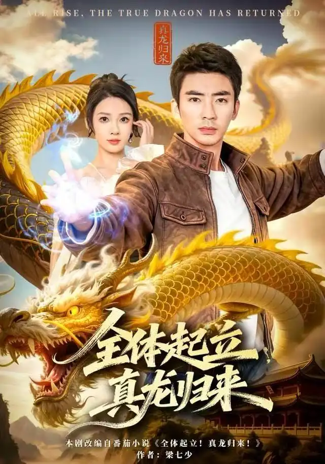 《全体起立，真龙归来（78集）张家嘉/张瀚文（男）》短剧全集免费在线看