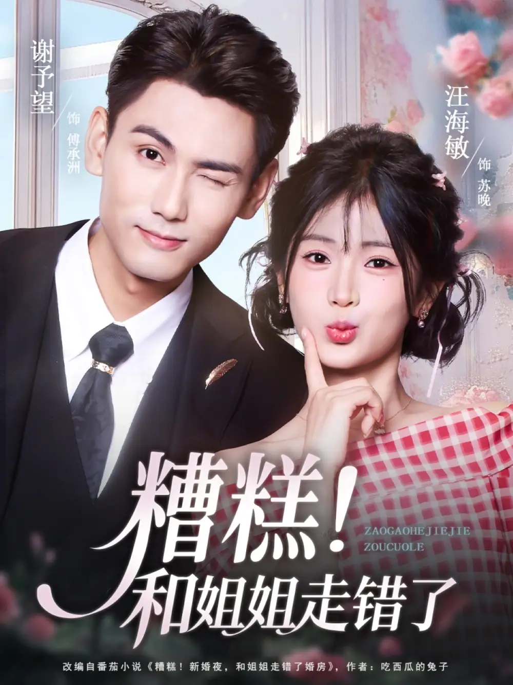 《糟糕！和姐姐走错了（124集）谢予望/汪海敏》短剧全集免费在线看