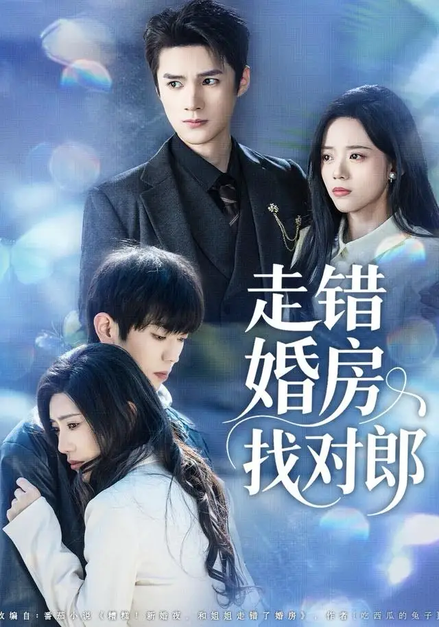 《走错婚房找对郎（50集）刘辰锐＆刘艺然》短剧全集免费在线看