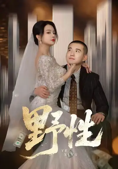 《野性&分手后,顶头上司要嫁我(70集)阎论&梦露》短剧全集免费在线看