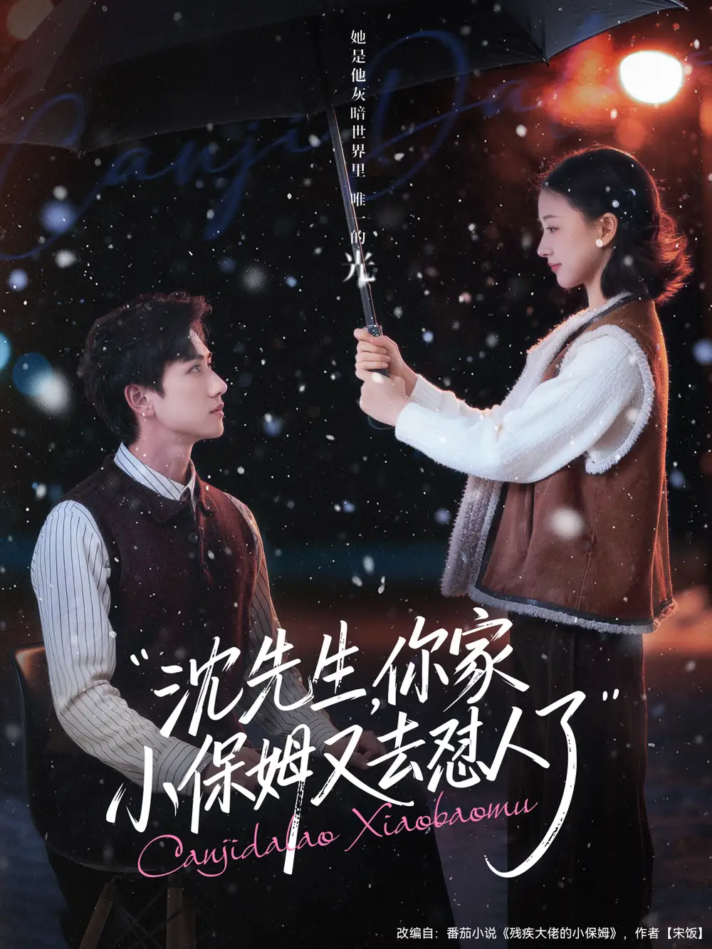 《沈先生，你家小保姆又去怼人了（82集）陈政阳＆廖银玥》短剧全集免费在线看