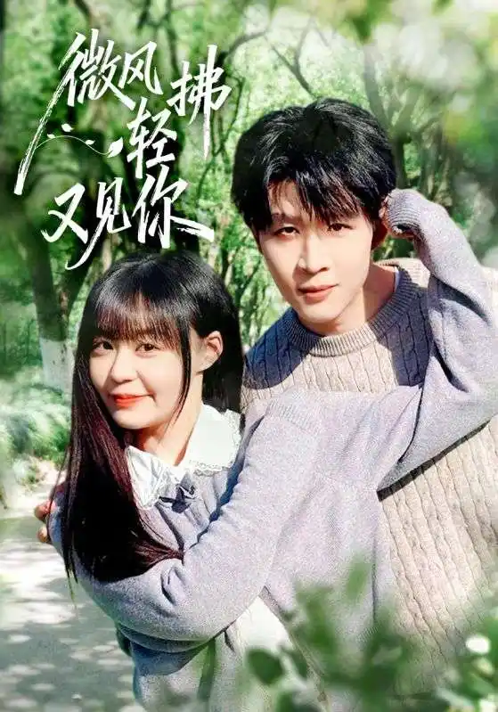 《微风轻拂又见你(66集)王雨博/孙蔚琳》短剧全集免费在线看