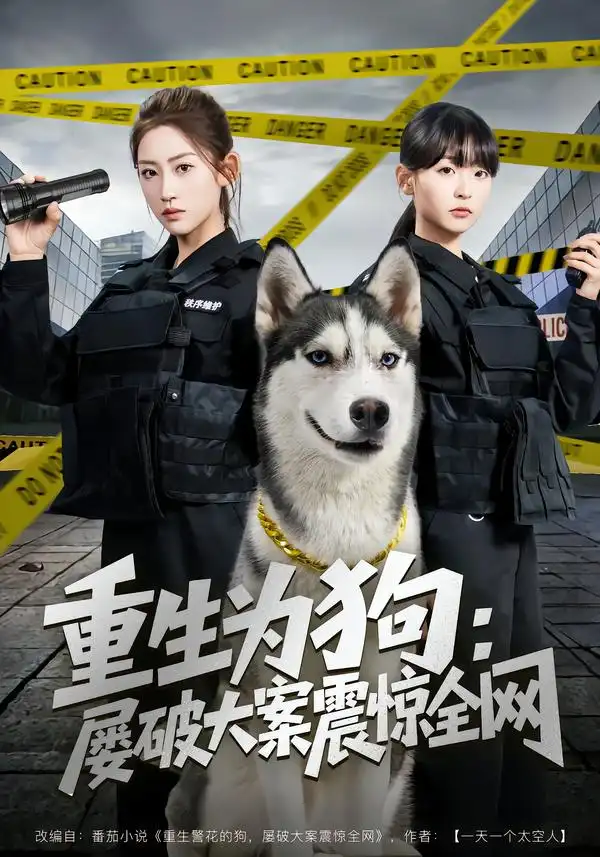 《重生为狗：屡破大案震惊全网（80集）王冰星＆范经明》短剧全集免费在线看
