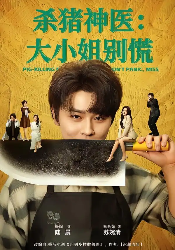 《杀猪神医:大小姐别慌(80集)舒瀚&杨晰茹》短剧全集免费在线看