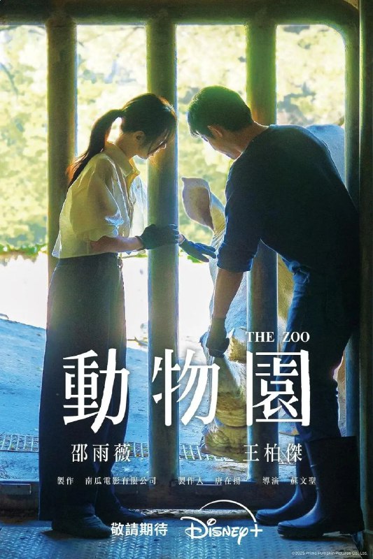 🗄 动物园 更08 [2026][台剧]