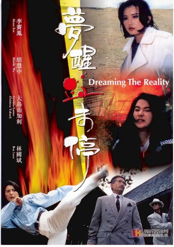 梦醒血未停 夢醒血未停 (1991)