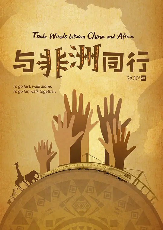 与非洲同行 (2018)