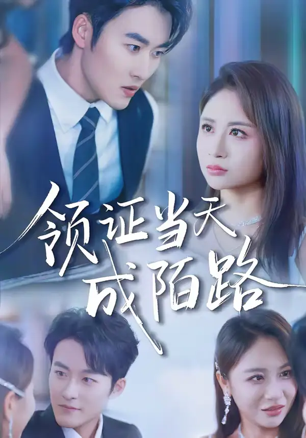 名称：领证当天成陌路 (39集) 姜博龙&李佳乐 | 短剧