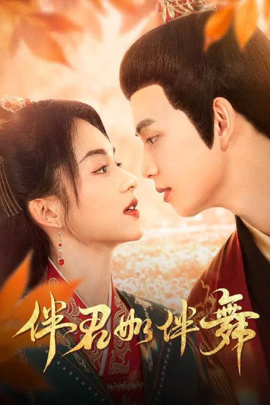 伴君如伴舞 4K臻彩MAX [HDR60fps][全24集]