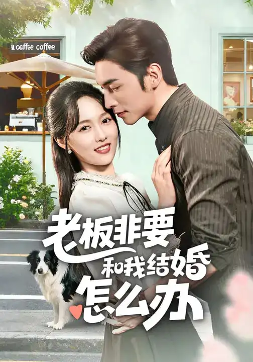 老板非要和我结婚怎么办（50集）王博&李媛菁