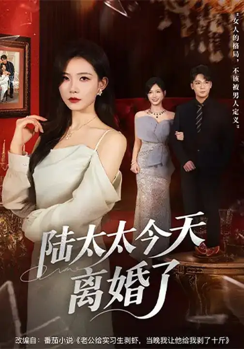 名称：陆太太今天离婚了 (59集) 刘灿&丁敬一 | 短剧