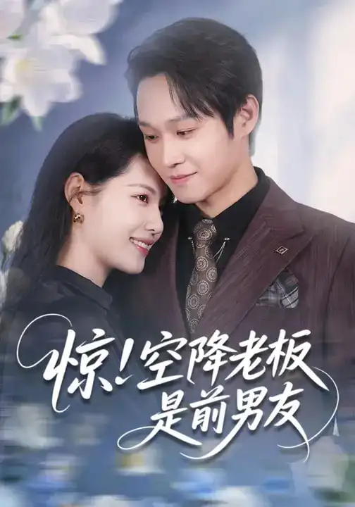 名称:惊空降老板是前男友 (65集) 董洁&王金泽 | 短剧 名称:惊空降老板是前男友 (65集) 董洁&王金泽 | 短剧