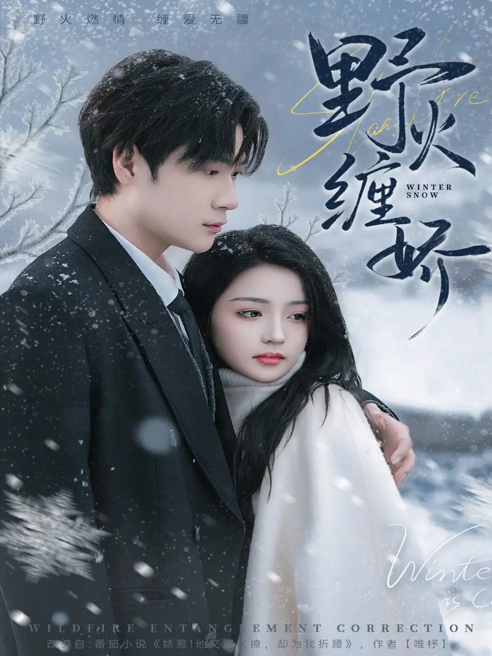 野火缠娇(66集)胡金池&刘苗苗 野火缠娇(66集)胡金池&刘苗苗