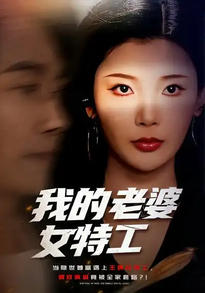 我的老婆女特工（62集）王星辰&王振