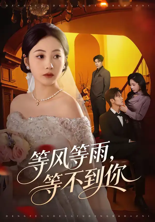 等风等雨，等不到你（65集）陈京霖＆曾和惠子