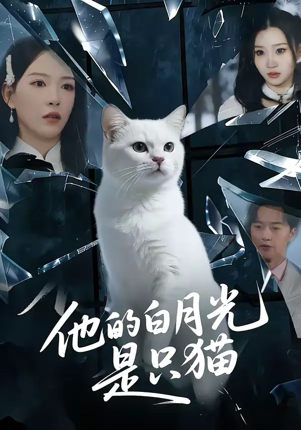 他的白月光是只猫（69集）陈家豪＆葛晓希