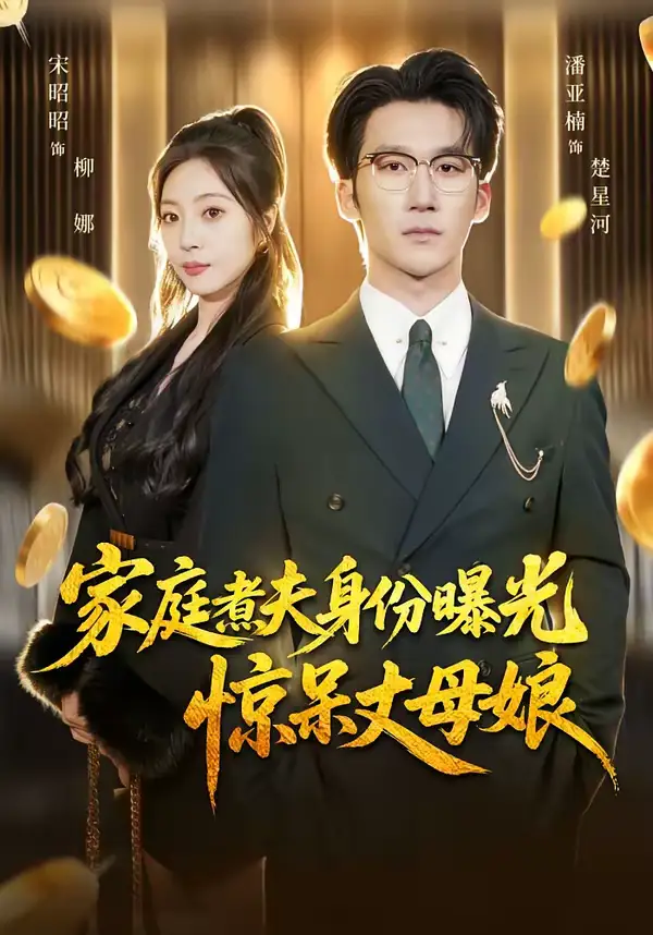 家庭煮夫身份曝光惊呆丈母娘（80集）潘亚楠＆宋昭昭