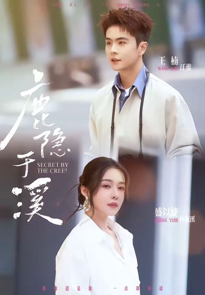 短剧《鹿隐于溪（63集）王楠＆盛以婕》海报