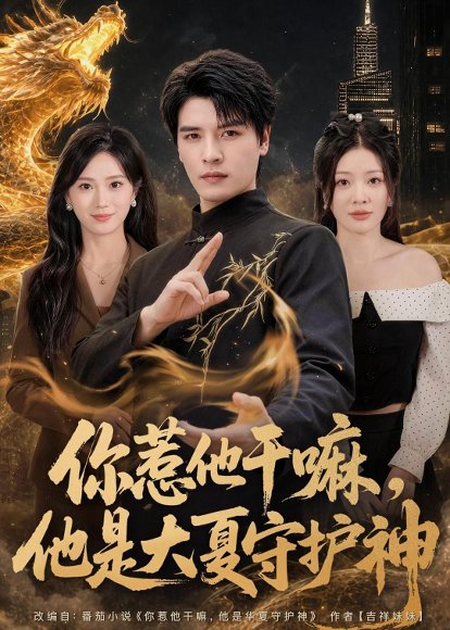 短剧《你惹他干嘛，他是大夏守护神（78集）李彬航＆林初》海报