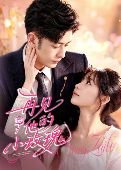 短剧《再见他的小玫瑰（98集）向昊＆杨佳蕾》海报