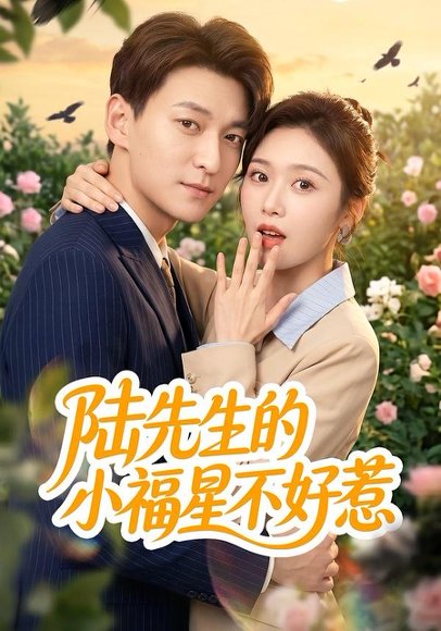 短剧《陆先生的小福星不好惹（56集）肖涵＆何为》海报