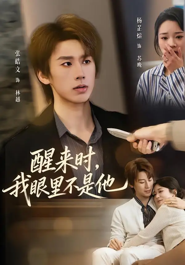 短剧《醒来时，我眼里不是他（36集）杨芷煊＆张皓文》海报