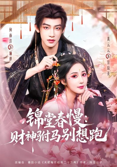 短剧《锦堂春慢:财神驸马别想跑(60集)何雨洋&黄云云》海报