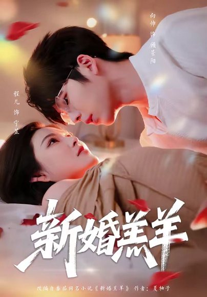短剧《新婚羔羊(89集)向帅&程儿》海报