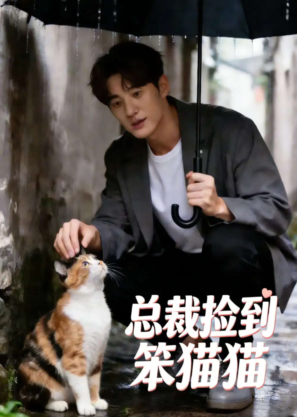 短剧《总裁捡到笨猫猫 (41集)》海报