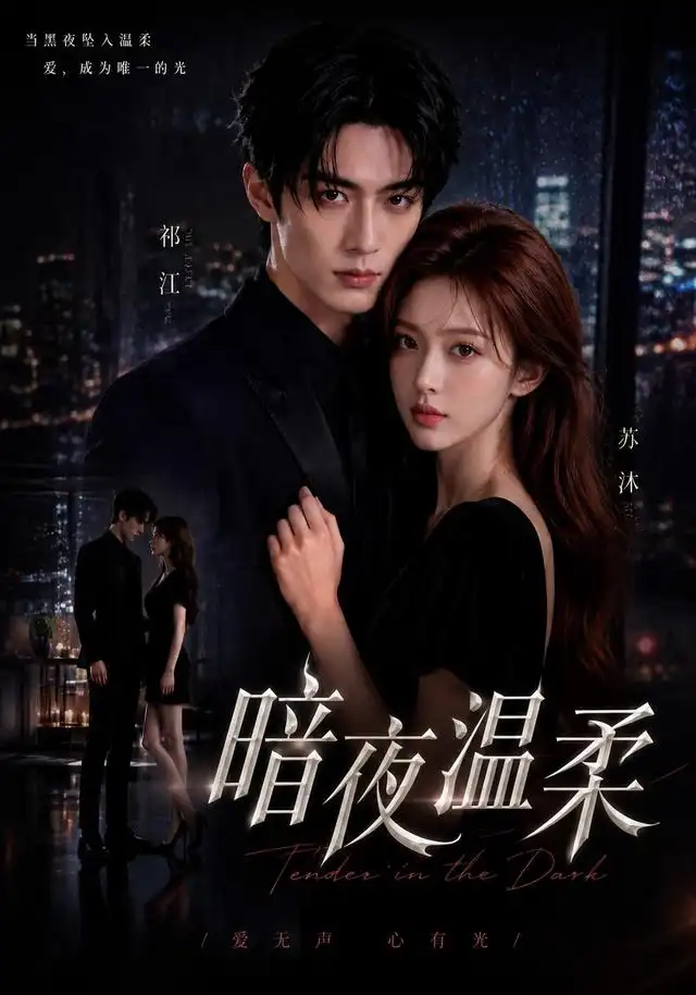 短剧《暗夜温柔 (25集)》海报