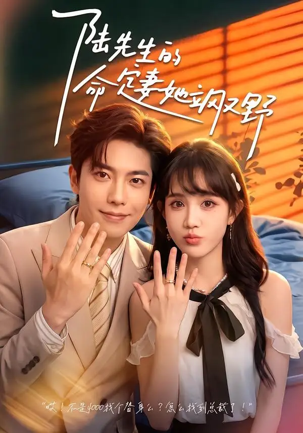 短剧《陆先生的命定妻她飒又野 (60集) 成梓宁&毛心童》海报