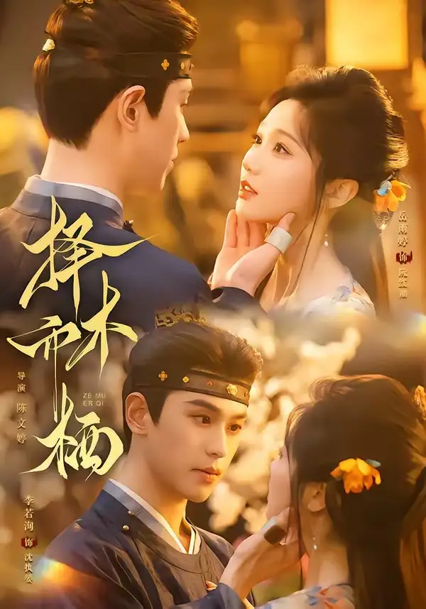 短剧《择木而栖 (84集) 李若洵&岳雨婷》海报