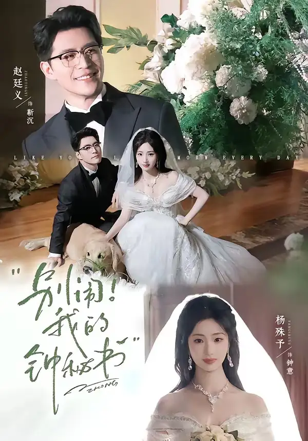 短剧《别闹我的钟秘书 (84集) 杨殊予&赵廷义》海报