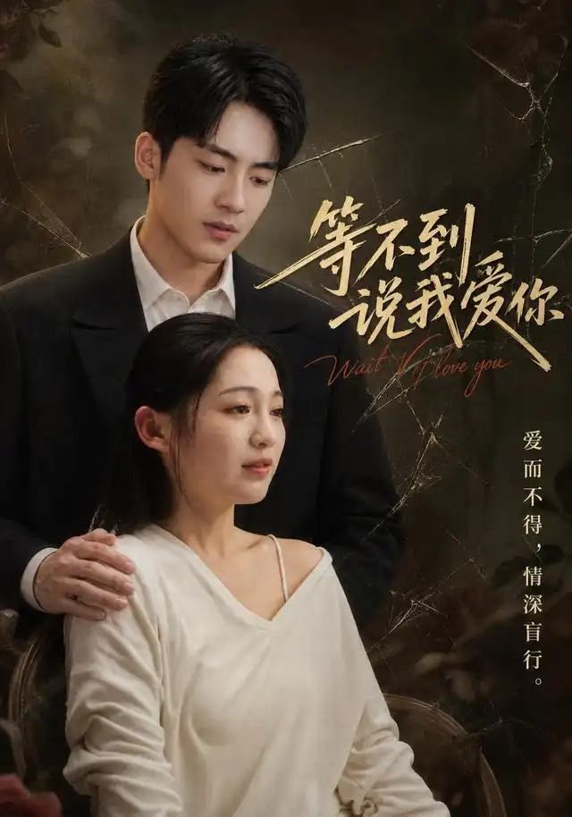 短剧《等不到说我爱你 (82集) 崔秀子&蒋文琦》海报