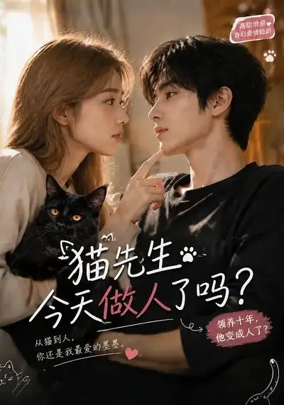 短剧《猫先生今天做人了吗 (84集)》海报