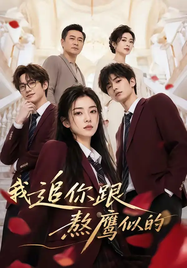 短剧《我追你跟熬鹰似的 (95集)》海报