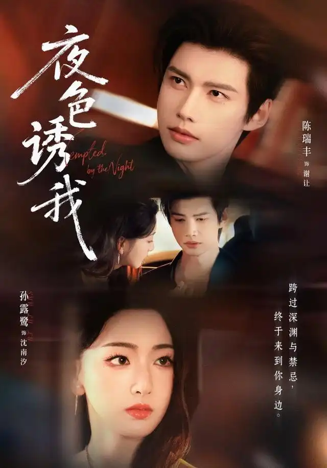 短剧《夜色诱我 (78集) 陈瑞丰&孙露鹭》海报