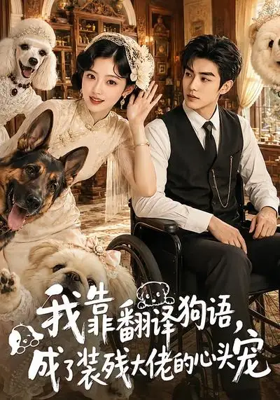 短剧《我靠翻译狗语成了装残大佬的心尖宠 (80集)》海报