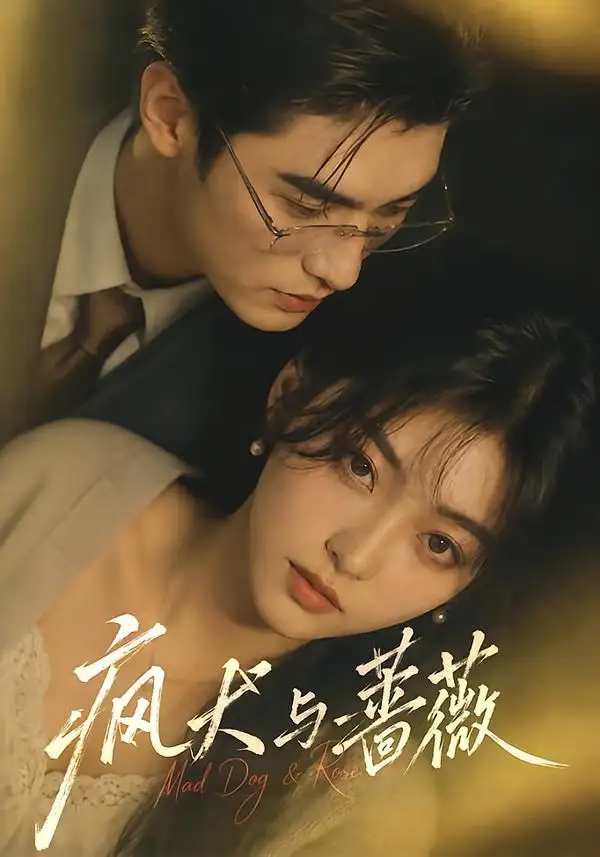 短剧《疯犬与蔷薇 (48集)》海报