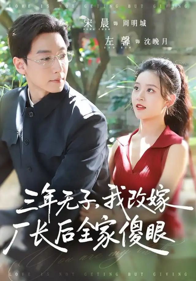 短剧《三年无子我改嫁厂长后全家傻眼了 (77集) 宋晨&左馨》海报