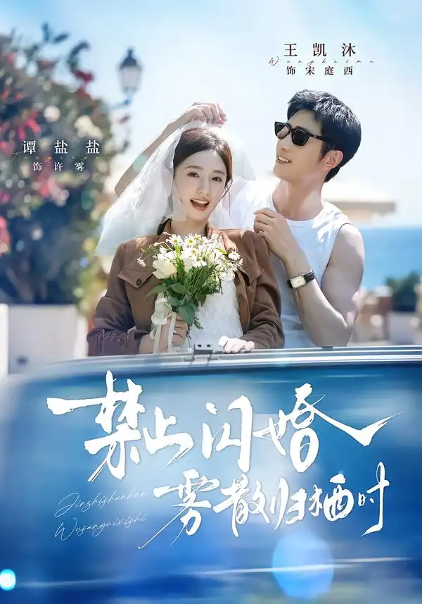 短剧《禁止闪婚雾散归栖时 (66集) 王凯沐&谭盐盐》海报